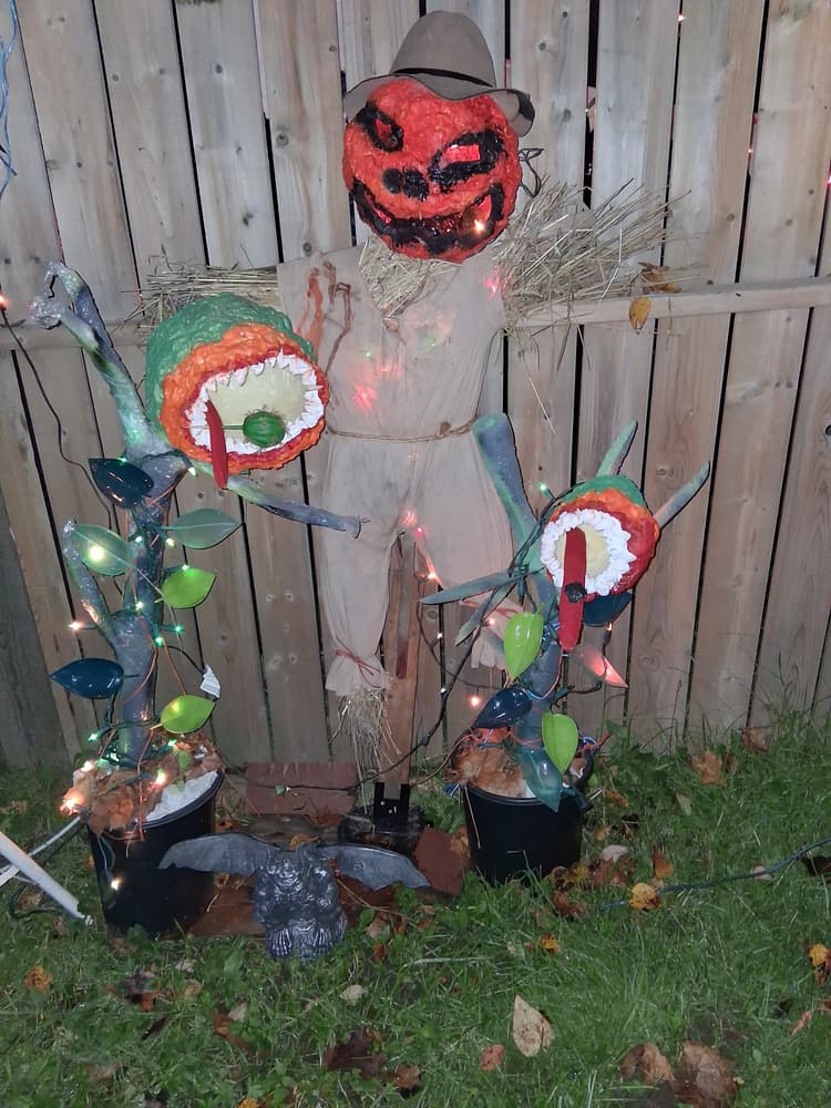 Decoration